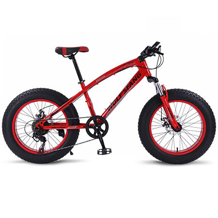 wolf's fang bicycle mountain bike 7 /21 speed 2.0"X 4.0"bicycle Road bike fat bike Disc Brake Women and children