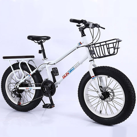 20inch Fat tyre bicycle 7-speed Mountain Bike Shock-absorbing Wide tyre bicycle 4.0 Extra Large Tire Variable speed Snow bicycle