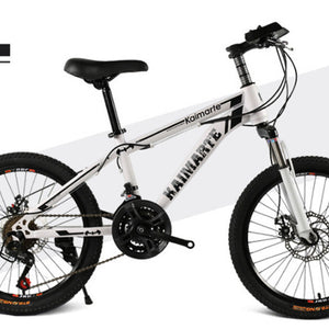 20 inch mountain bike 21 speed bicycle front and rear disc brakes bicycle straight beam riding mountain bike