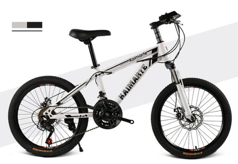 20 inch mountain bike 21 speed bicycle front and rear disc brakes bicycle straight beam riding mountain bike