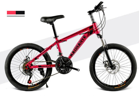 20 inch mountain bike 21 speed bicycle front and rear disc brakes bicycle straight beam riding mountain bike