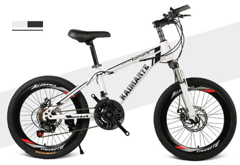 20 inch mountain bike 21 speed bicycle front and rear disc brakes bicycle straight beam riding mountain bike