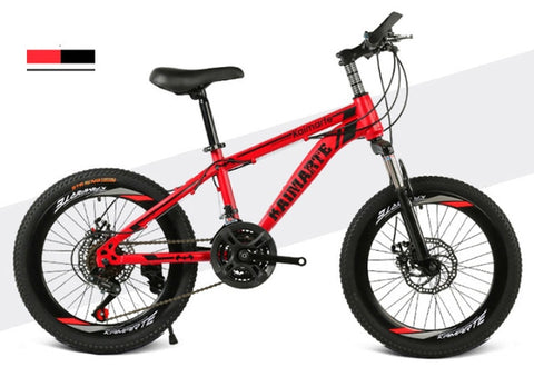 20 inch mountain bike 21 speed bicycle front and rear disc brakes bicycle straight beam riding mountain bike