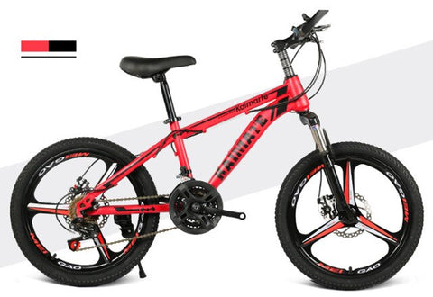 20 inch mountain bike 21 speed bicycle front and rear disc brakes bicycle straight beam riding mountain bike