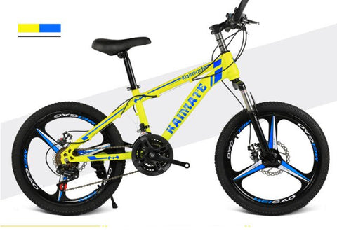 20 inch mountain bike 21 speed bicycle front and rear disc brakes bicycle straight beam riding mountain bike