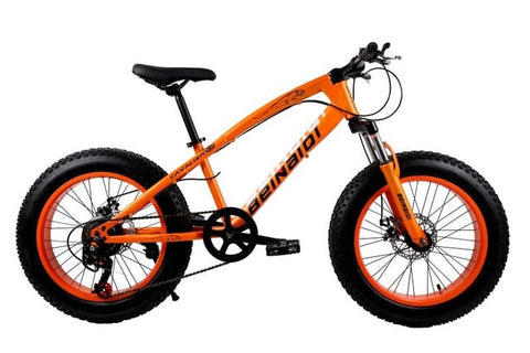 KUBEEN mountain bike 21 speed 2.0 inch bicycle Road bike Fat Bike Mechanical Disc Brake Women and children bicycles