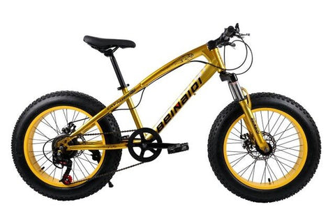 KUBEEN mountain bike 21 speed 2.0 inch bicycle Road bike Fat Bike Mechanical Disc Brake Women and children bicycles